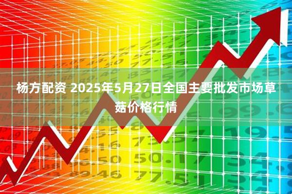 杨方配资 2025年5月27日全国主要批发市场草菇价格行情