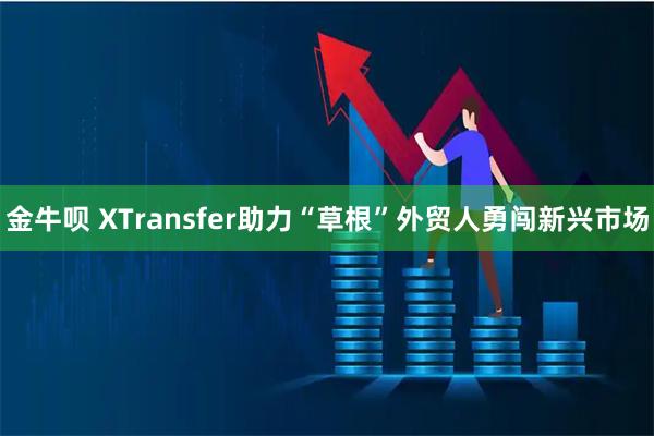 金牛呗 XTransfer助力“草根”外贸人勇闯新兴市场