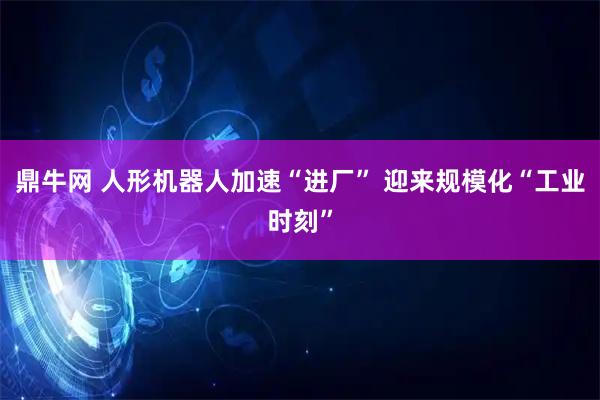 鼎牛网 人形机器人加速“进厂” 迎来规模化“工业时刻”